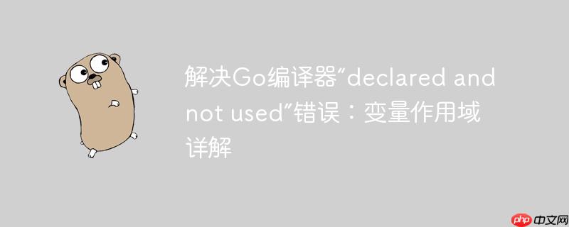 解决go编译器“declared and not used”错误:变量作用域详解