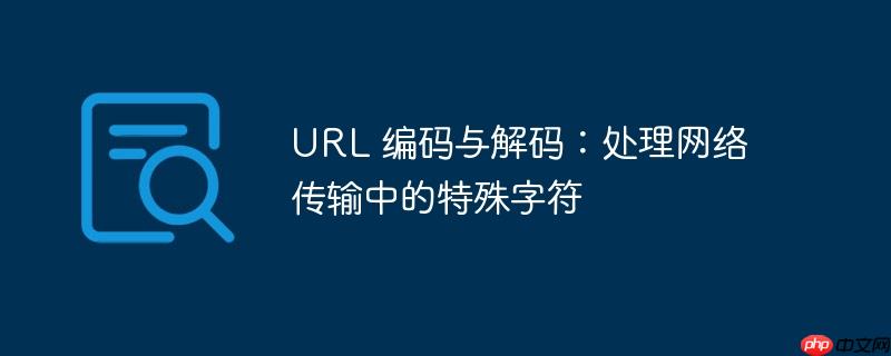 URL 编码与解码：处理网络传输中的特殊字符-小浪学习网