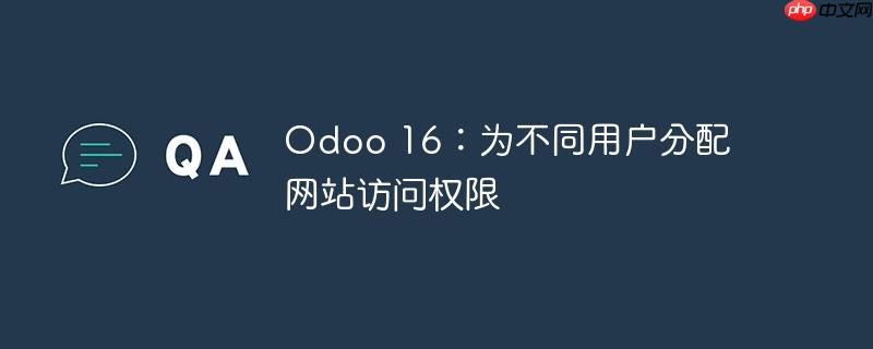 odoo 16：为不同用户分配网站访问权限