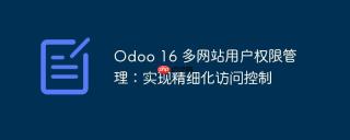 Odoo 16 多网站用户权限管理：实现精细化访问控制