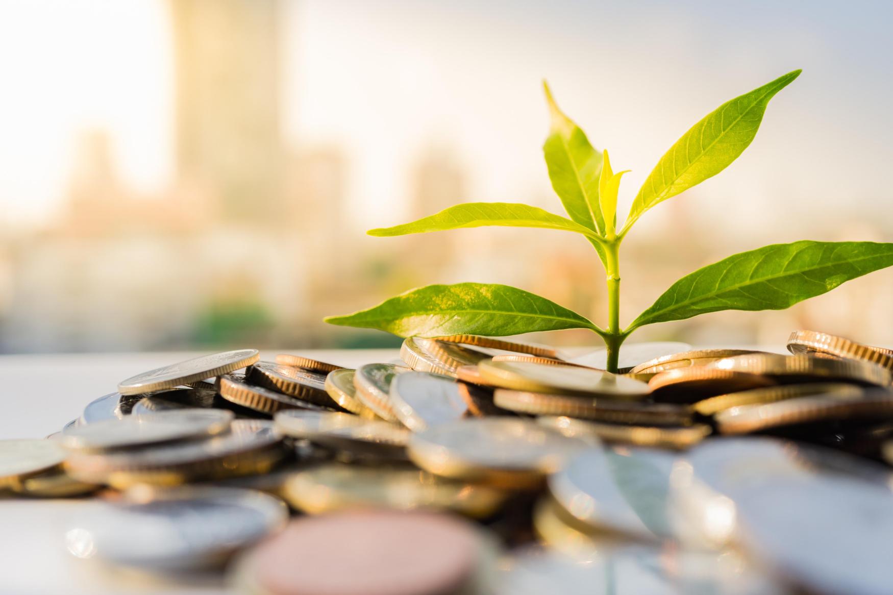 EU Nature Credits Show The Path To Market-Driven ProSocial AI