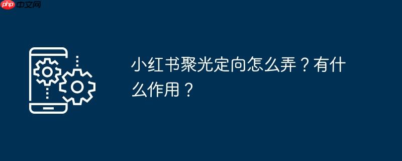 小红书聚光怎么投放 小红书聚光高级定向怎么设置