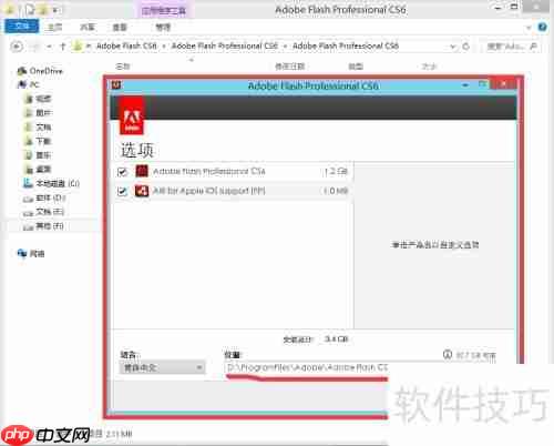 Flash CS6安装指南
