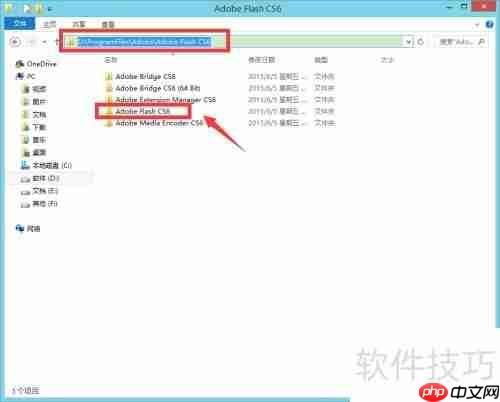 Flash CS6安装指南