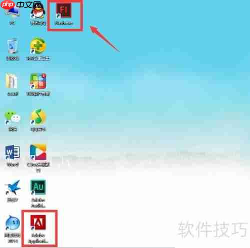 Flash CS6安装指南