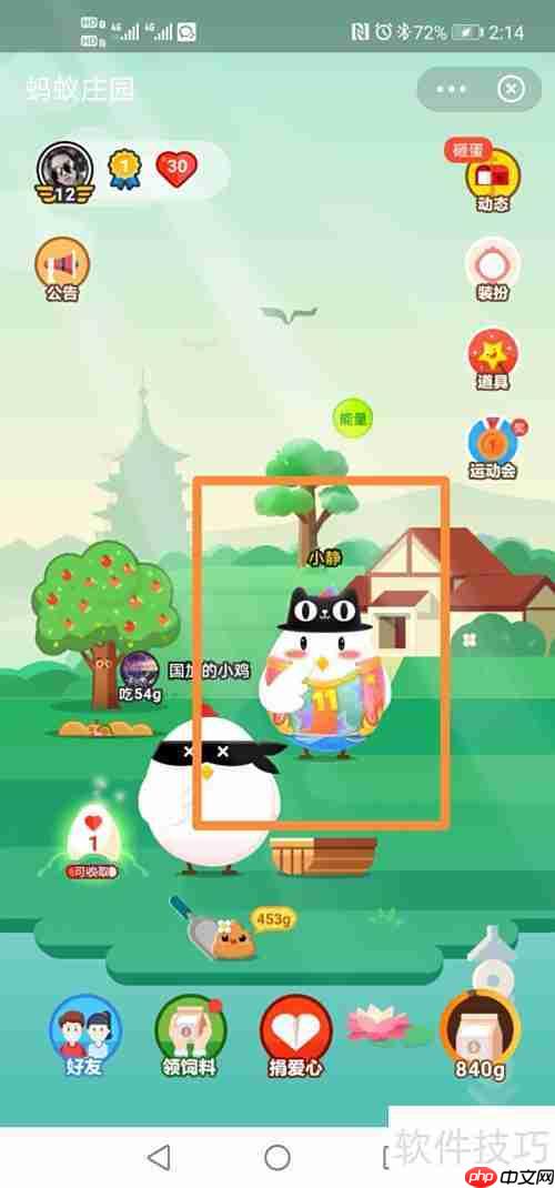 小鸡星秀套装装扮攻略