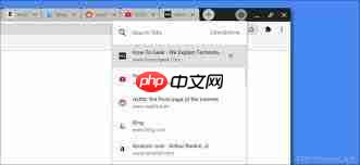 360浏览器怎么导出当前全部打开的标签