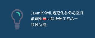 Java中XML规范化与命名空间前缀重写：解决数字签名一致性问题
