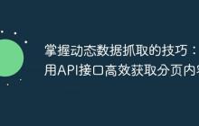 掌握动态数据抓取的技巧：利用API接口高效获取分页内容