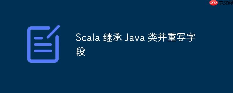 scala 继承 java 类并重写字段