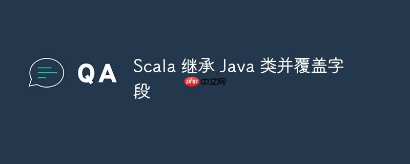 Scala 继承 Java 类并覆盖字段-小浪学习网