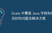 Scala 中覆盖 Java 字段和成员时的问题及解决方案