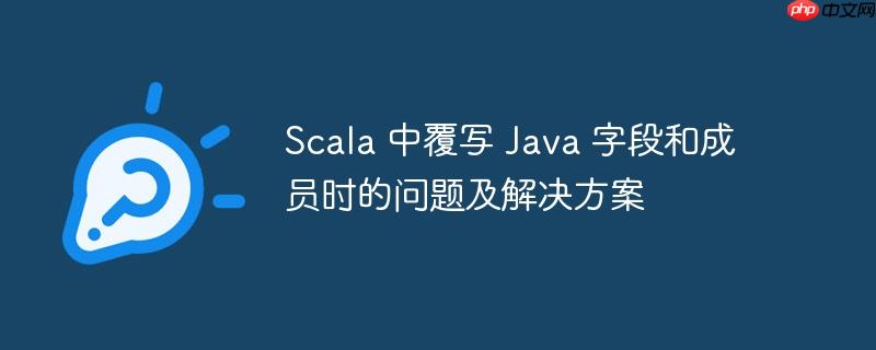 scala 中覆写 java 字段和成员时的问题及解决方案