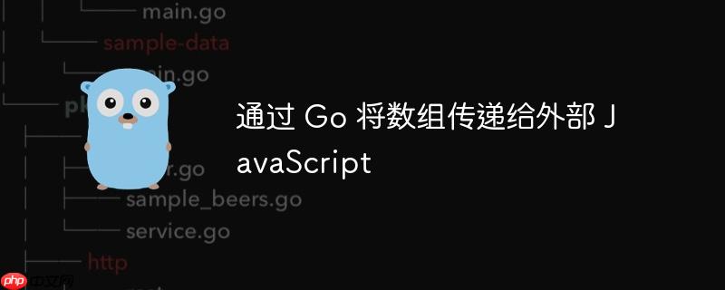 通过 go 将数组传递给外部 javascript