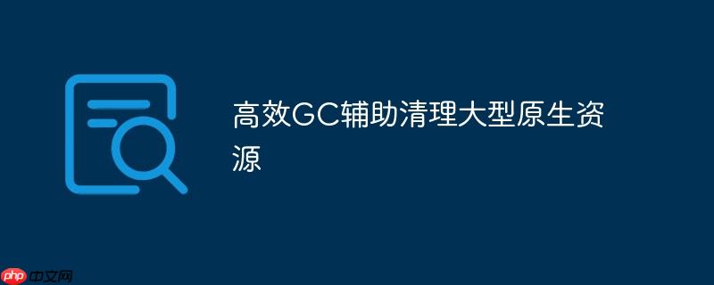 高效gc辅助清理大型原生资源