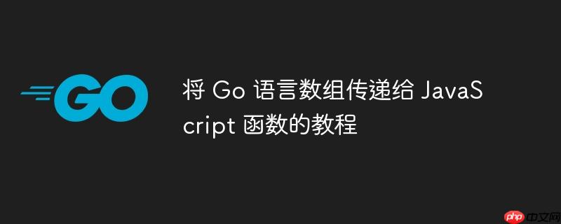 将 go 语言数组传递给 javascript 函数的教程