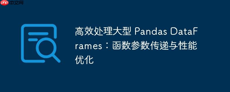 高效处理大型 pandas dataframes：函数参数传递与性能优化