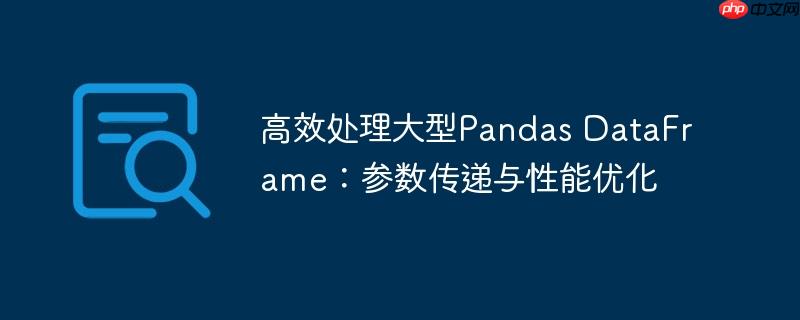 高效处理大型Pandas DataFrame：参数传递与性能优化
