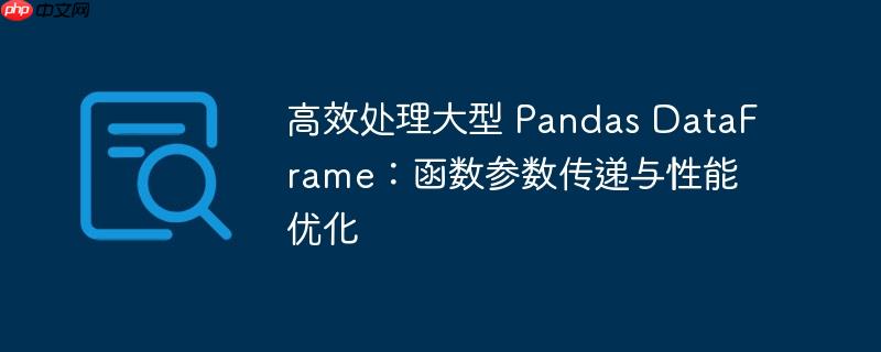 高效处理大型 pandas dataframe：函数参数传递与性能优化