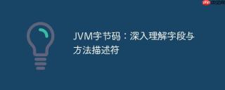 JVM字节码：深入理解字段与方法描述符
