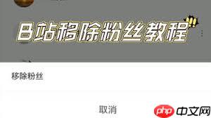 如何删除b站粉丝