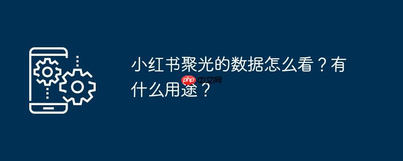 小红书聚光的数据怎么看？有什么用途？