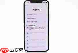 新手机怎么激活