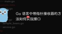 Go 语言中带指针接收器的方法如何实现接口