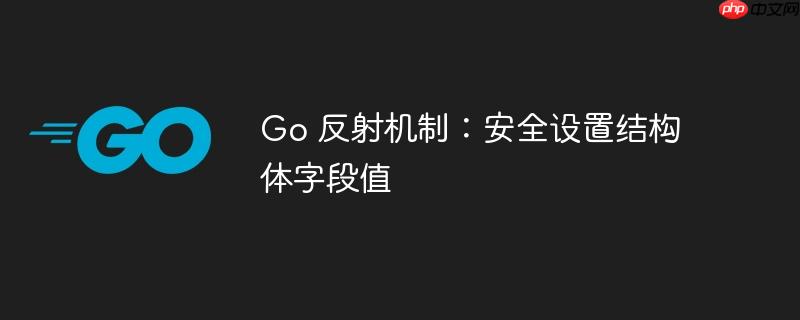 Go 反射机制:安全设置结构体字段值