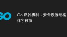 Go 反射机制：安全设置结构体字段值