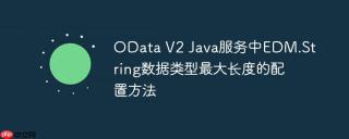 OData V2 Java服务中EDM.String数据类型最大长度的配置方法
