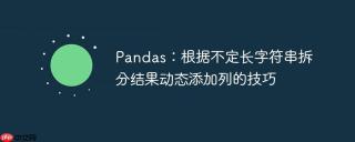 Pandas：根据不定长字符串拆分结果动态添加列的技巧
