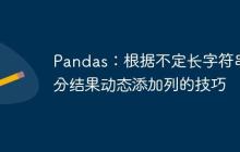 Pandas：根据不定长字符串拆分结果动态添加列的技巧