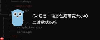 Go语言：动态创建可变大小的二维数据结构

