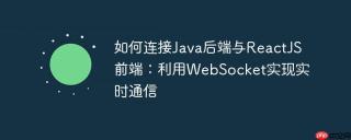 如何连接Java后端与ReactJS前端：利用WebSocket实现实时通信