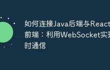 如何连接Java后端与ReactJS前端:利用WebSocket实现实时通信