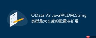 OData V2 Java中EDM.String类型最大长度的配置与扩展