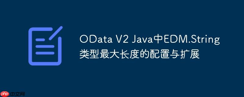 OData V2 Java中EDM.String类型最大长度的配置与扩展