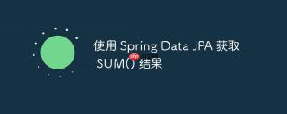 使用 Spring Data JPA 获取 SUM() 结果