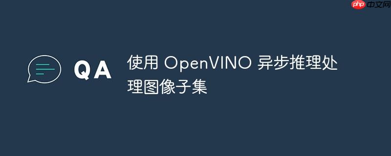使用 openvino 异步推理处理图像子集