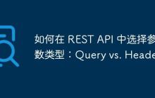 如何在 REST API 中选择参数类型:Query vs. Header
