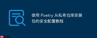 使用 poetry 从私有仓库安装包的安全配置教程