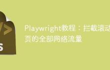 Playwright教程：拦截滚动网页的全部网络流量