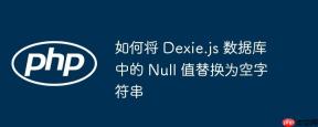 如何将 Dexie.js 数据库中的 Null 值替换为空字符串