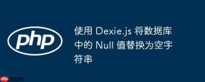 使用 Dexie.js 将数据库中的 Null 值替换为空字符串
