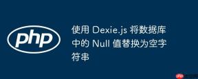使用 dexie.js 将数据库中的 null 值替换为空字符串