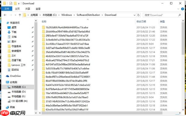 Win10升级补丁文件如何删除？Win10升级补丁文件删除的方法