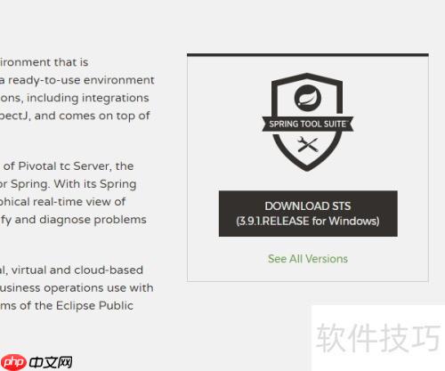 STS下载与安装指南