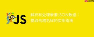 解析和处理嵌套JSON数组：提取机构名称的实用指南