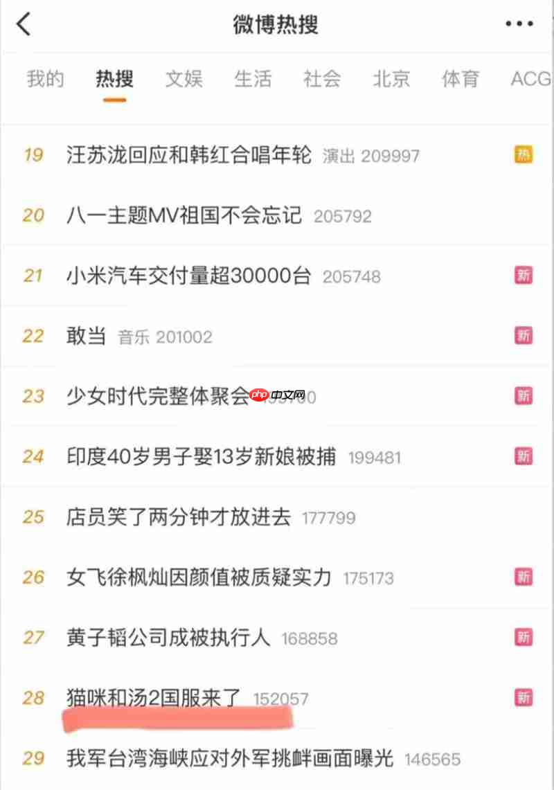 《猫咪和汤2》国服预约开启!ChinaJoy现场沉浸体验魔法美食世界